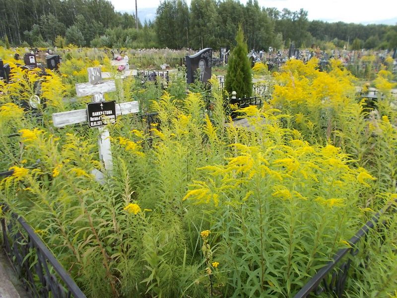 Панкратова Наталья Николаевна