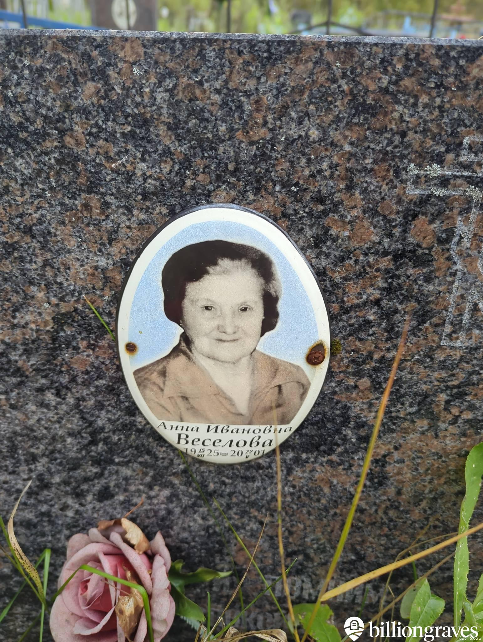 Веселова Анна Ивановна
