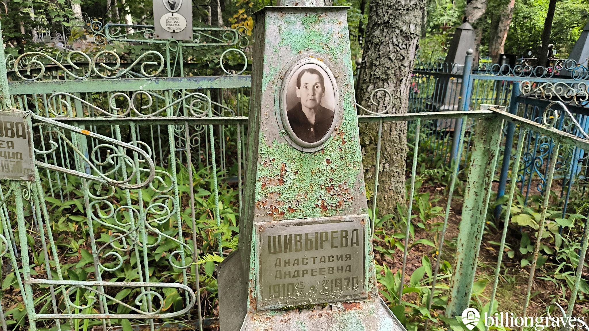 Шивырева Анастасия Андреевна