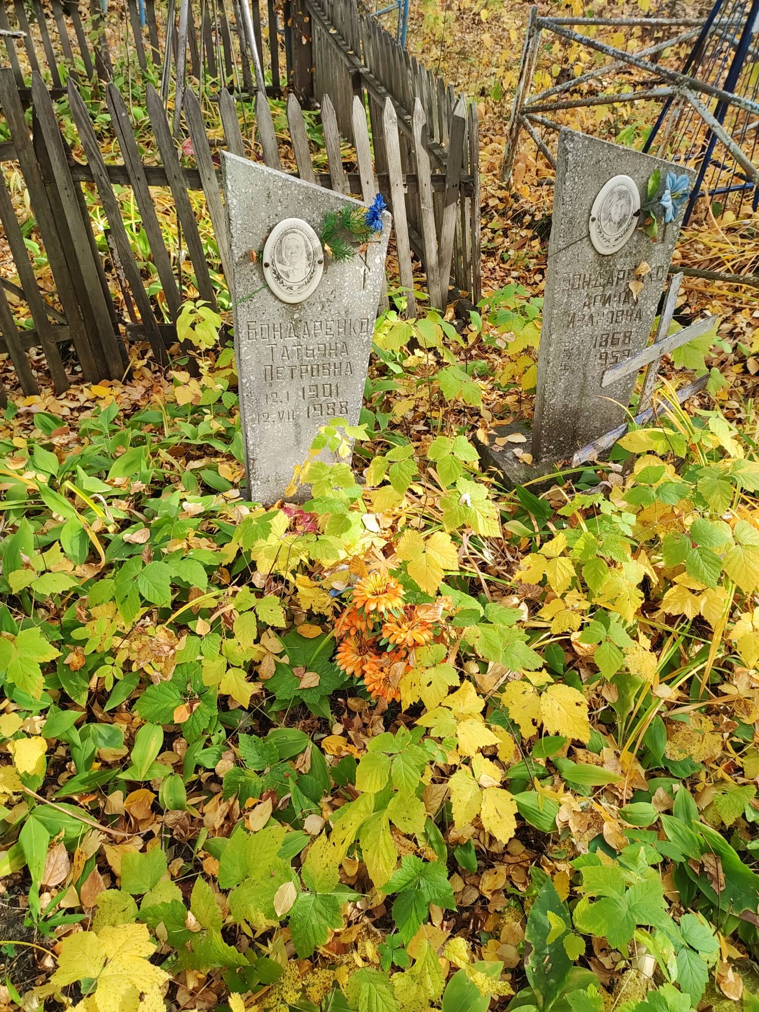 Бондаренко Татьяна Петровна