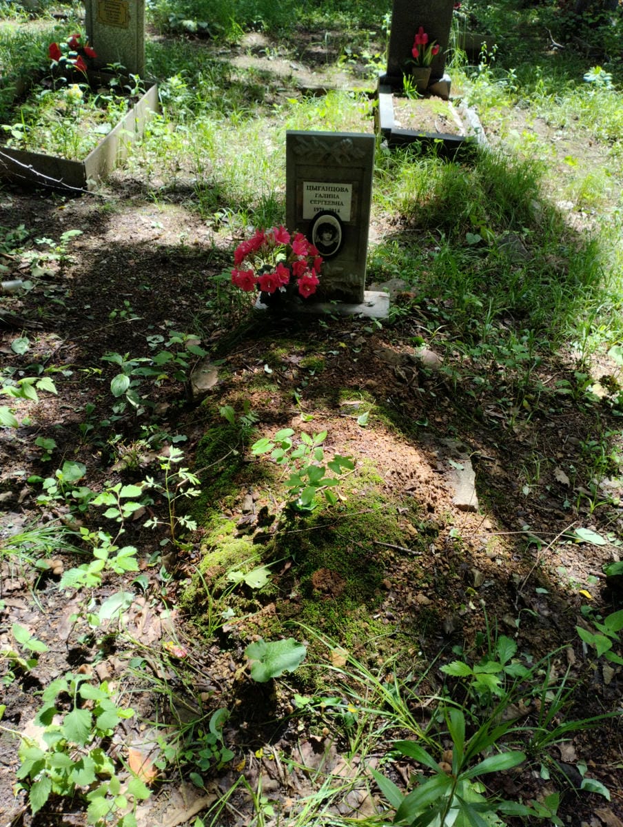 Цыганцова Галина Сергеевна