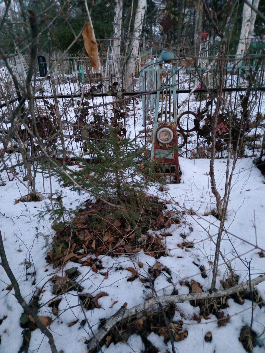 Беда Надежда Дмитриевна