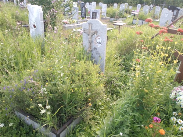 Зверев Дмитрий Краснославович