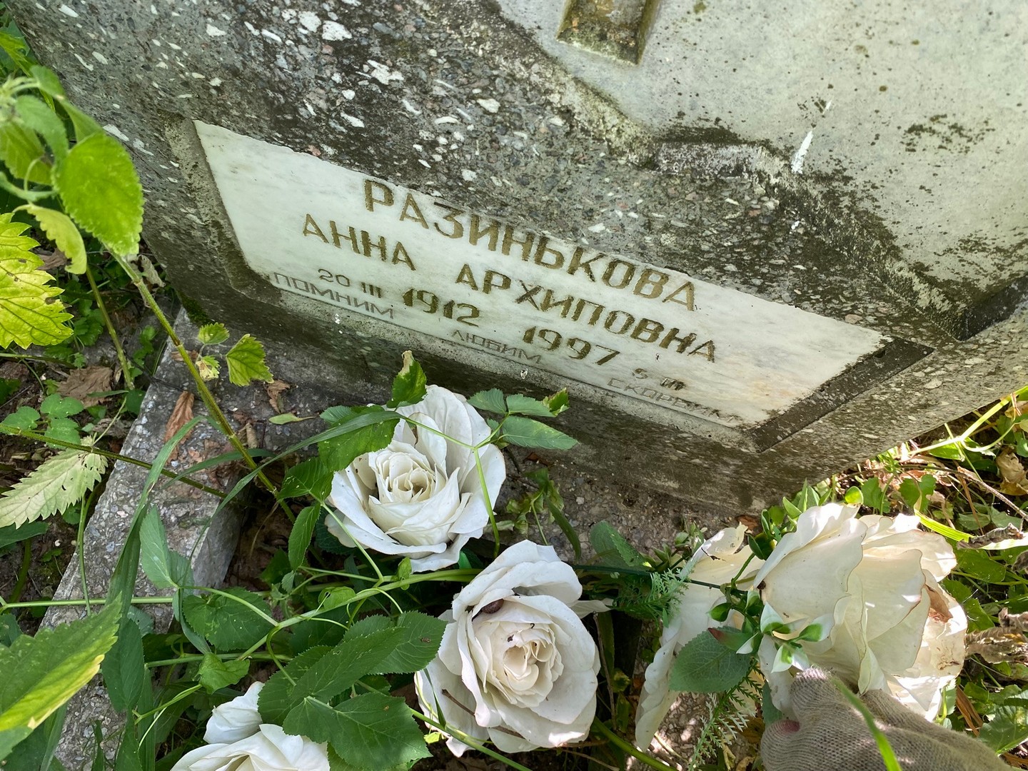 Разинькова
