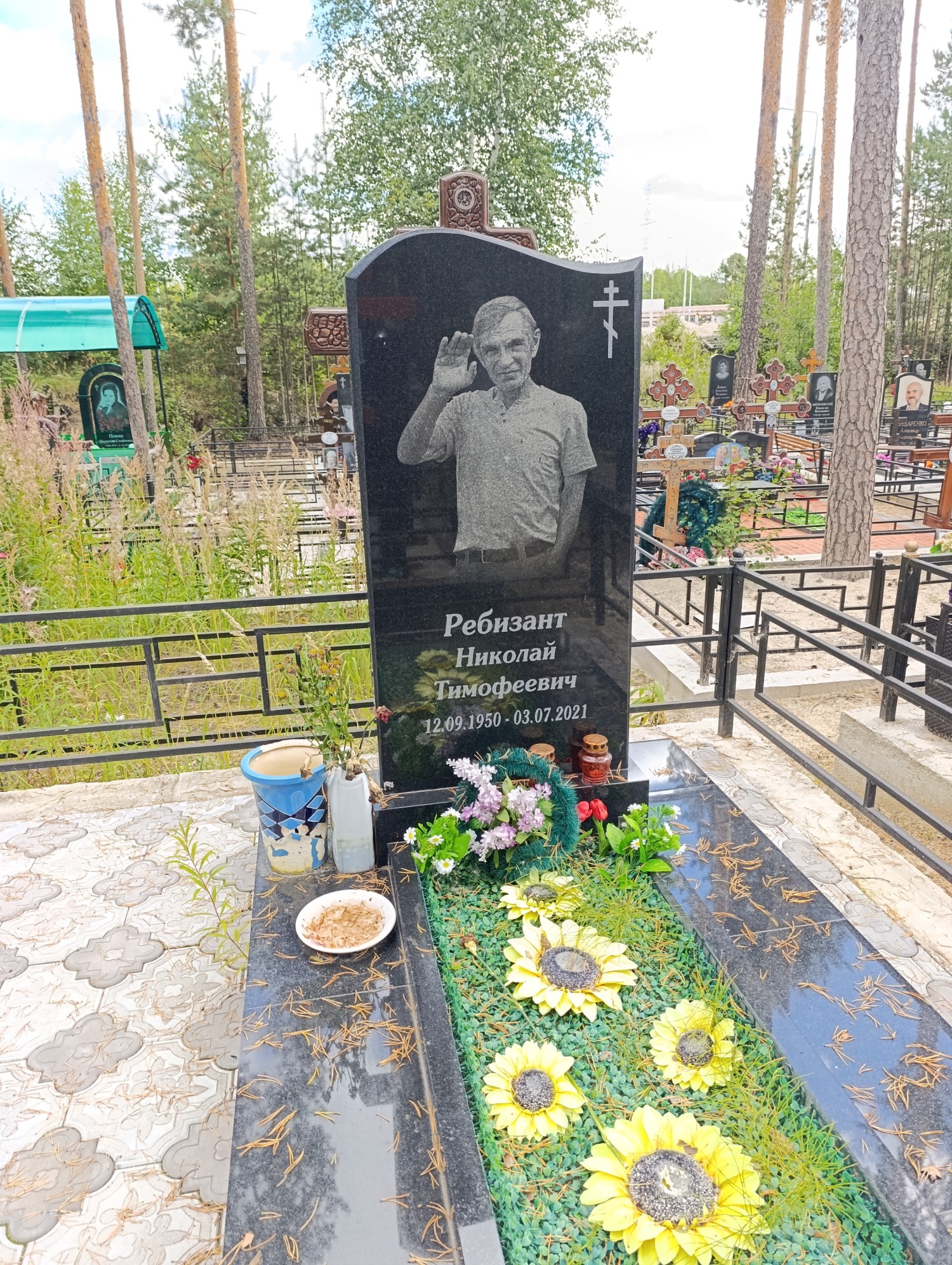 Ребизант Николай Тимофеевич