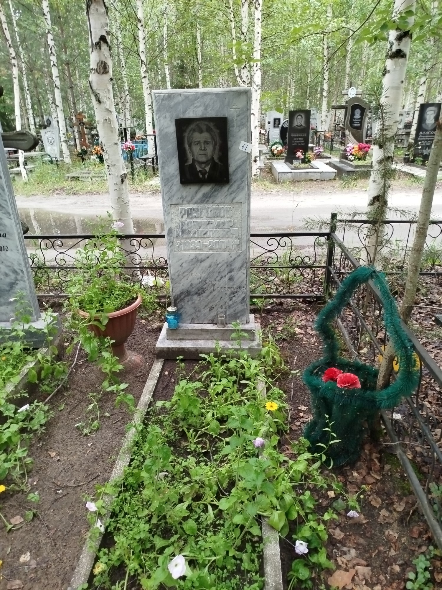 Разгонов Владимир Михайлович