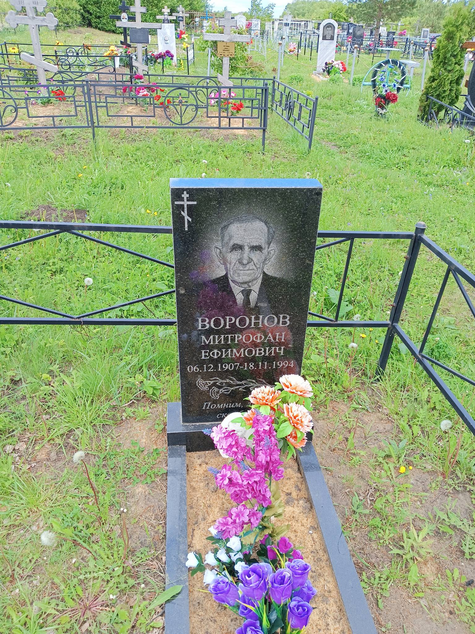 Воронов Митрофан Ефимович