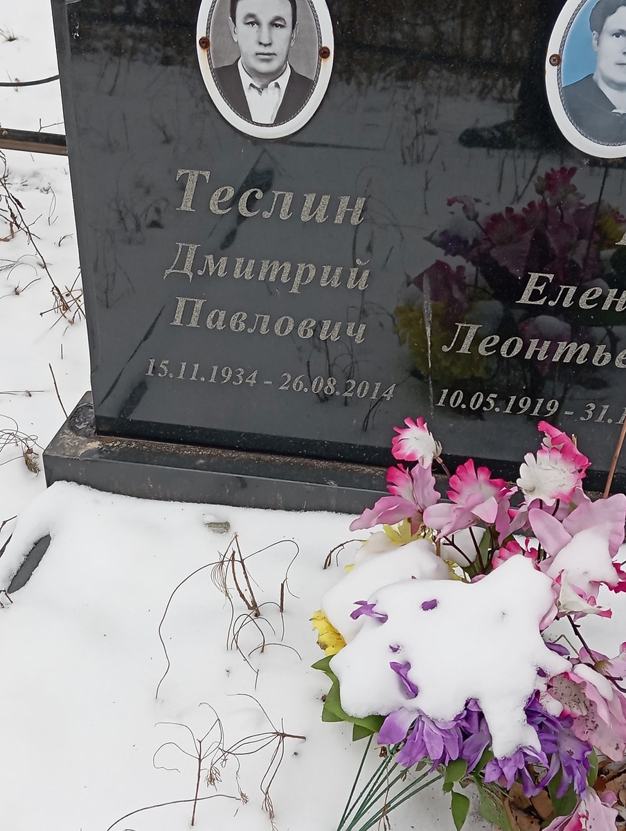 Теслин Дмитрий Павлович