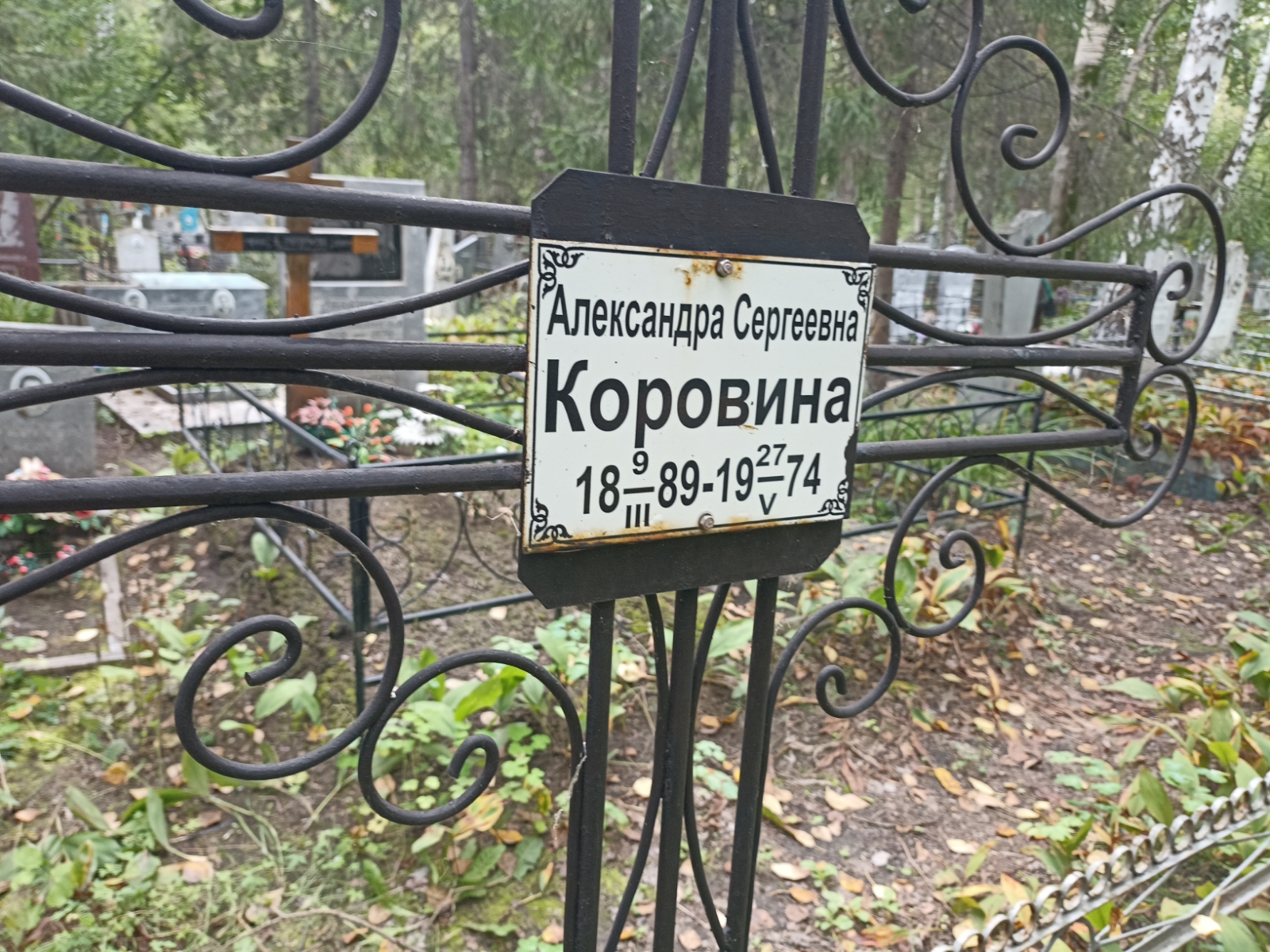 Коровина Александра Сергеевна