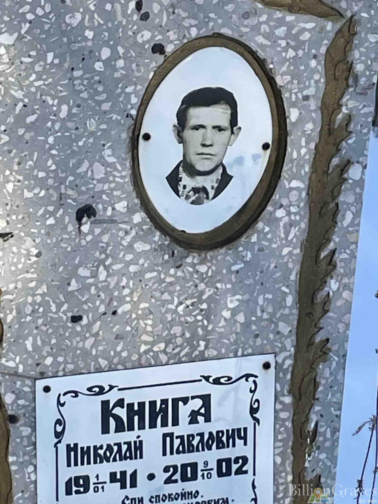 Книга Николай Павлович