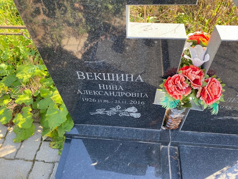 Векшина