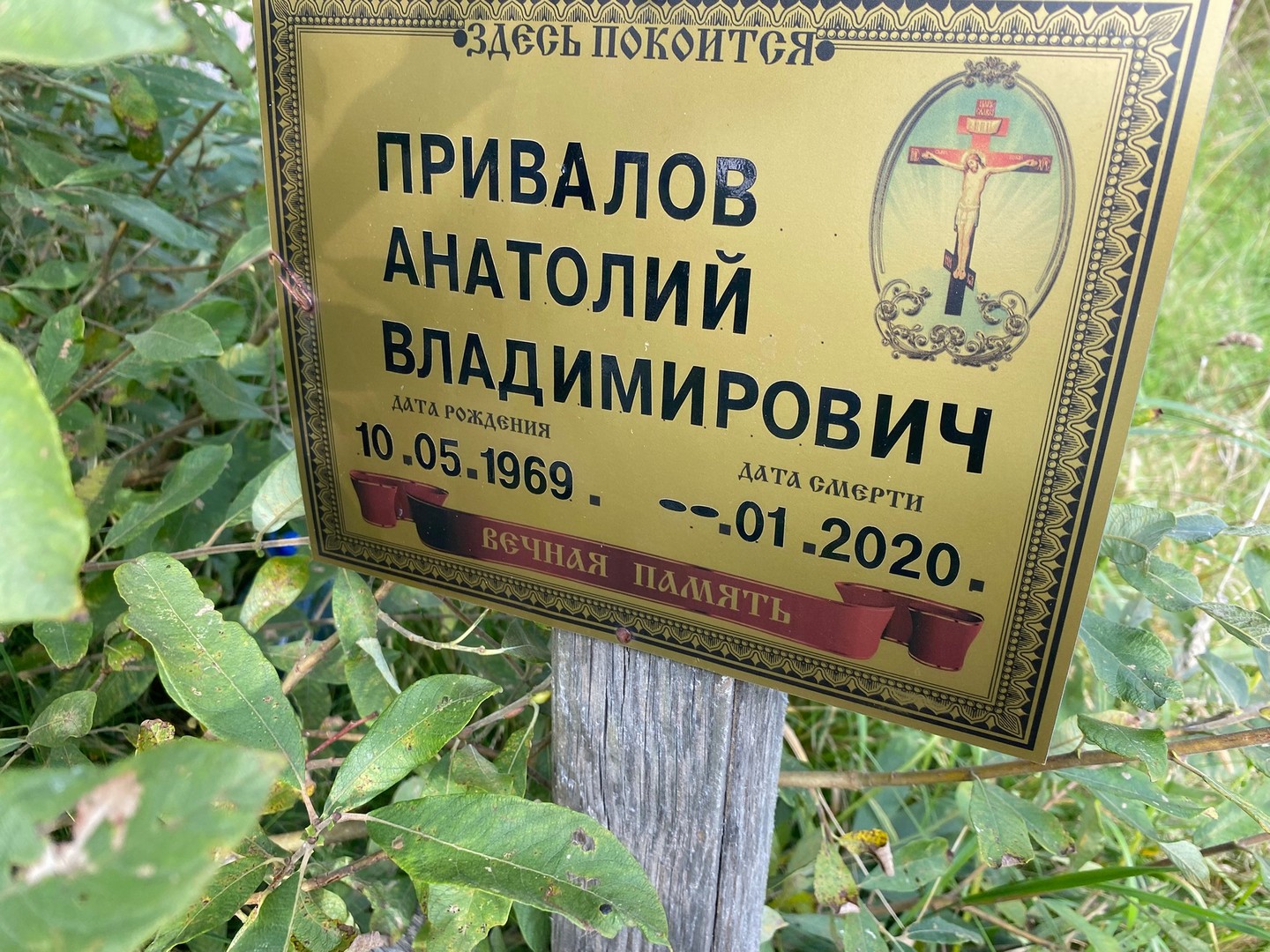 Привалов