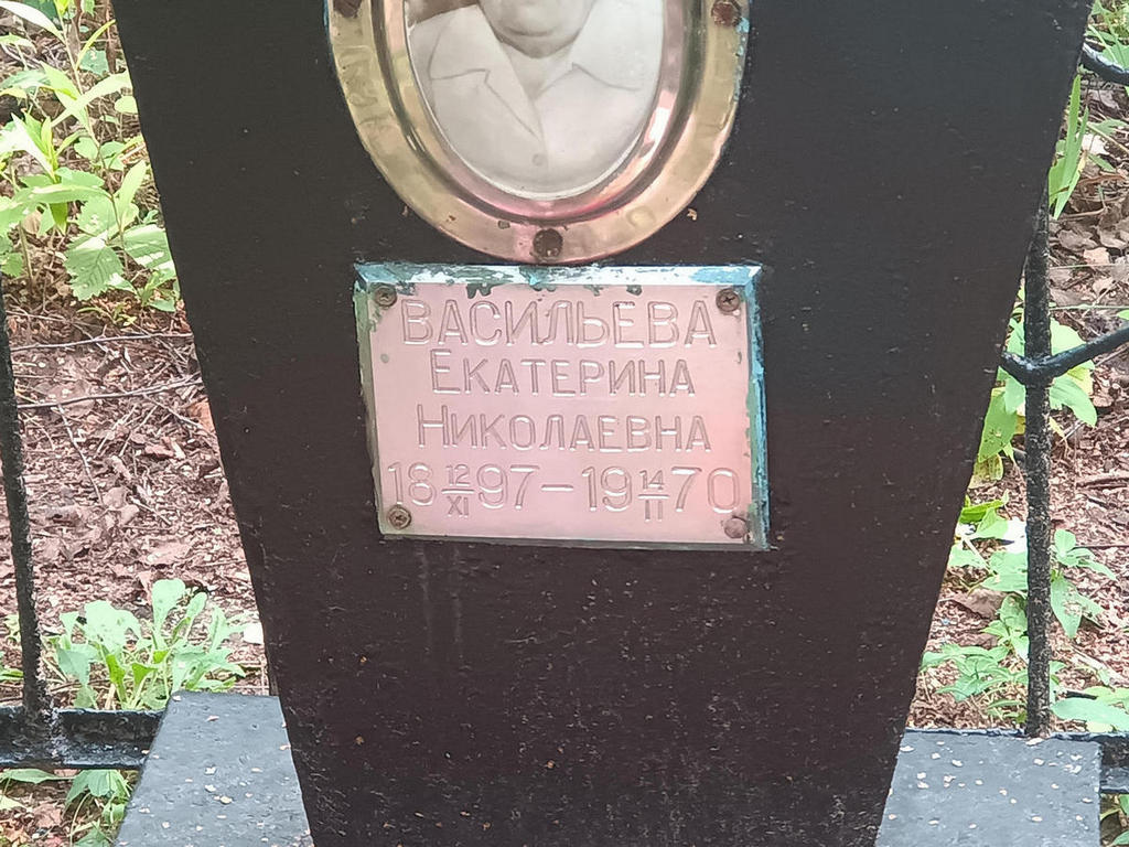 Васильева Екатерина Николаевна