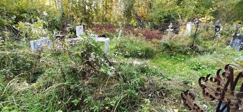 Ромачева Александра Михайловна