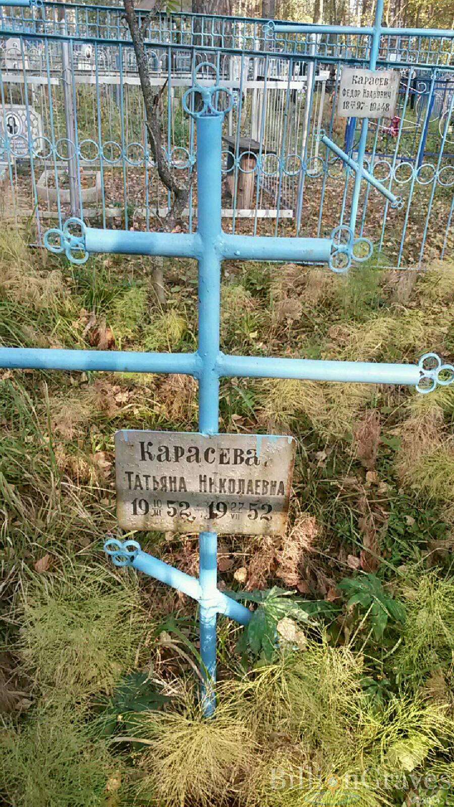 Карасева Татьяна Николаевна