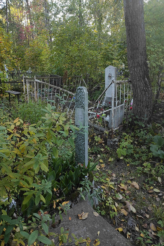 Алексеев Виктор Александрович