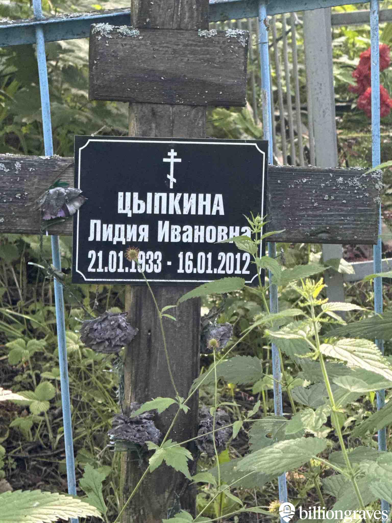 Цыпкина Лидия Ивановна