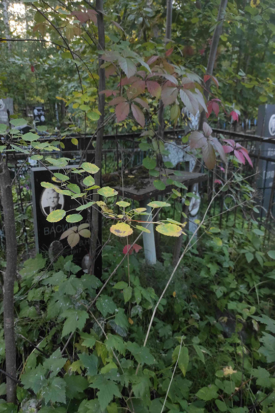Блинов И. Н.