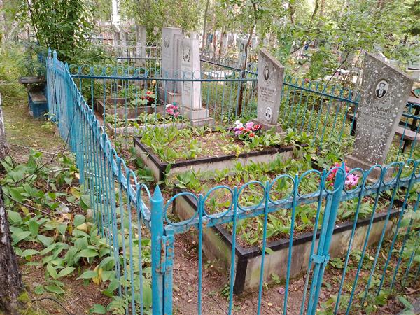 Салазкин Владимир Иванович