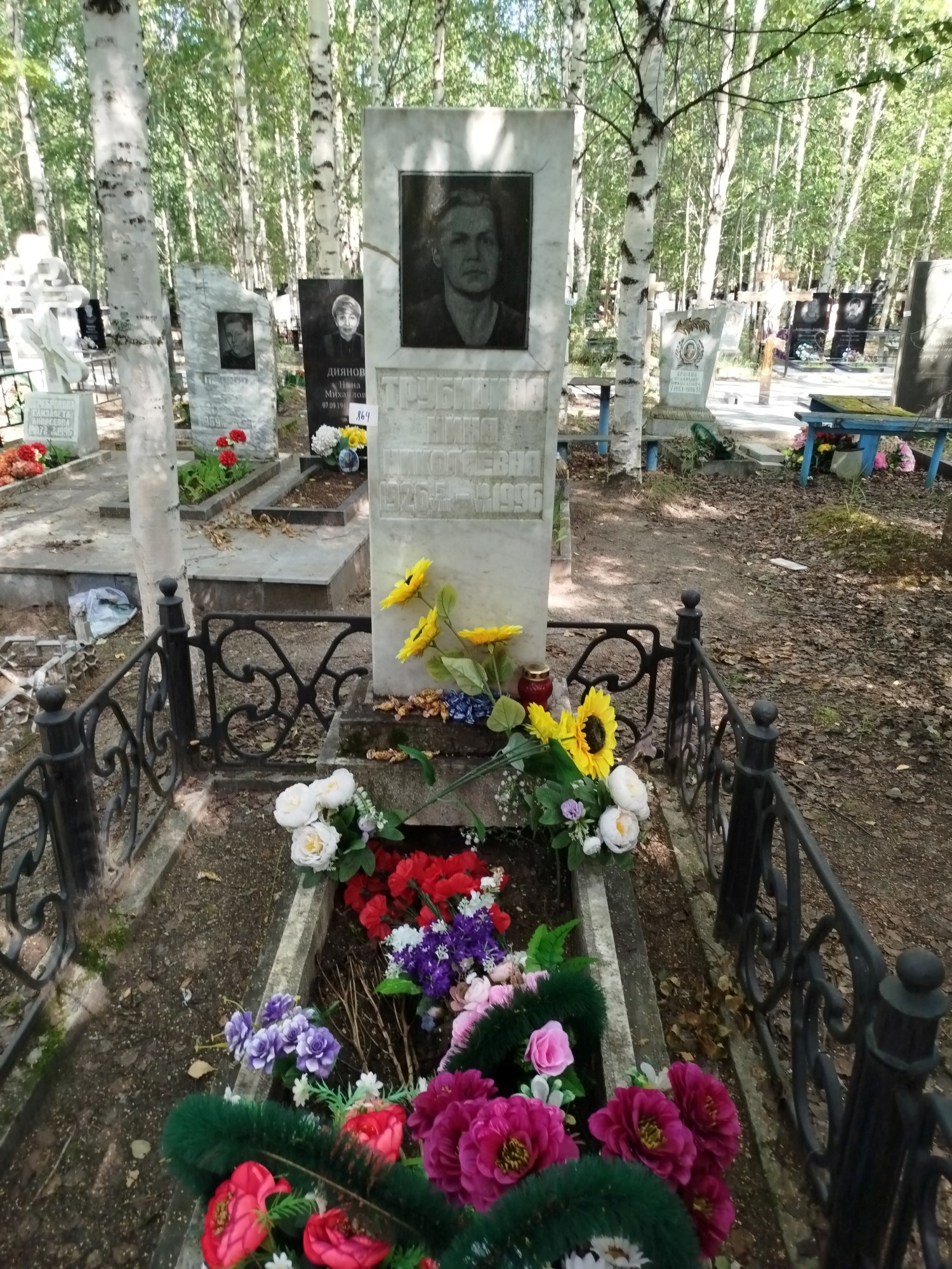 Трубицина Нина Николаевна