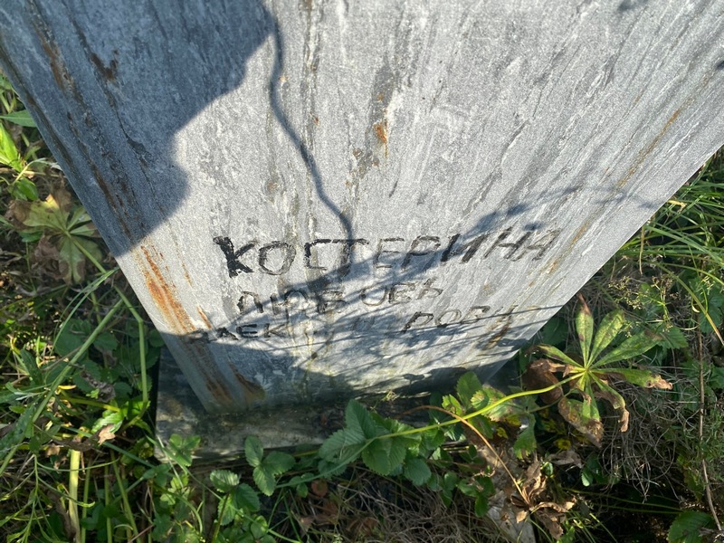 Костерина
