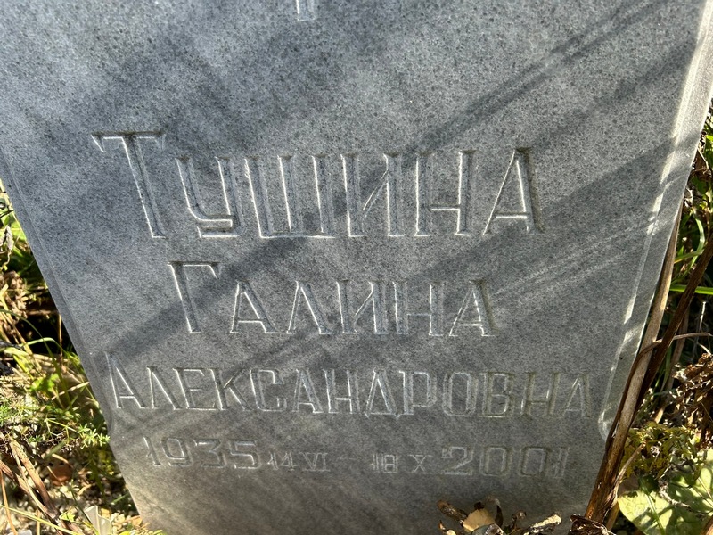 Тушина