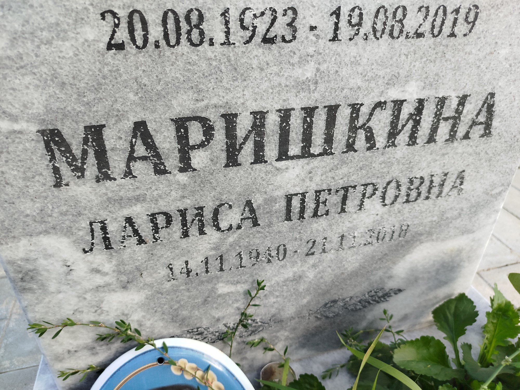 Миршкина Лариса Петровна
