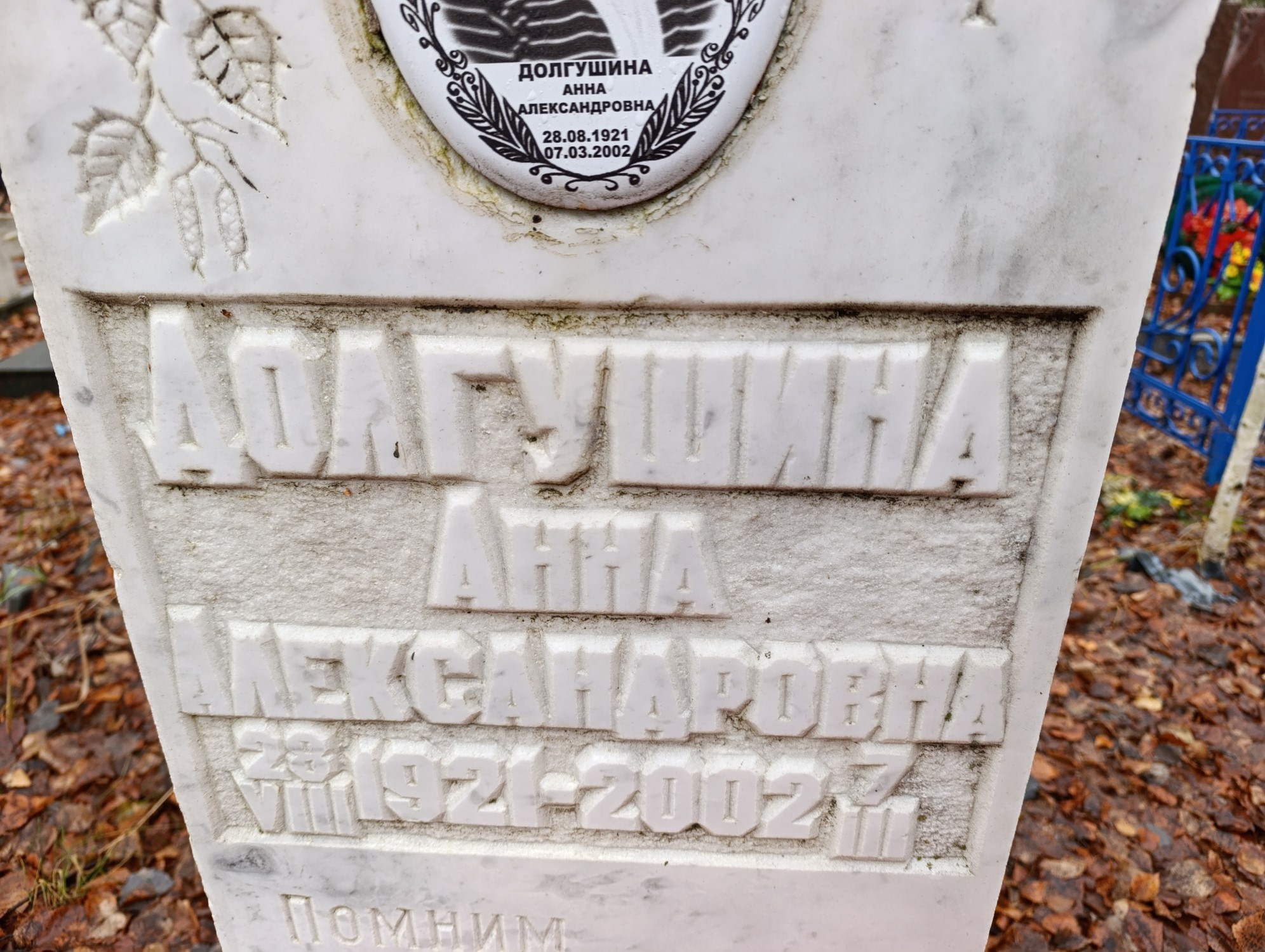 Долгушина Анна Александровна