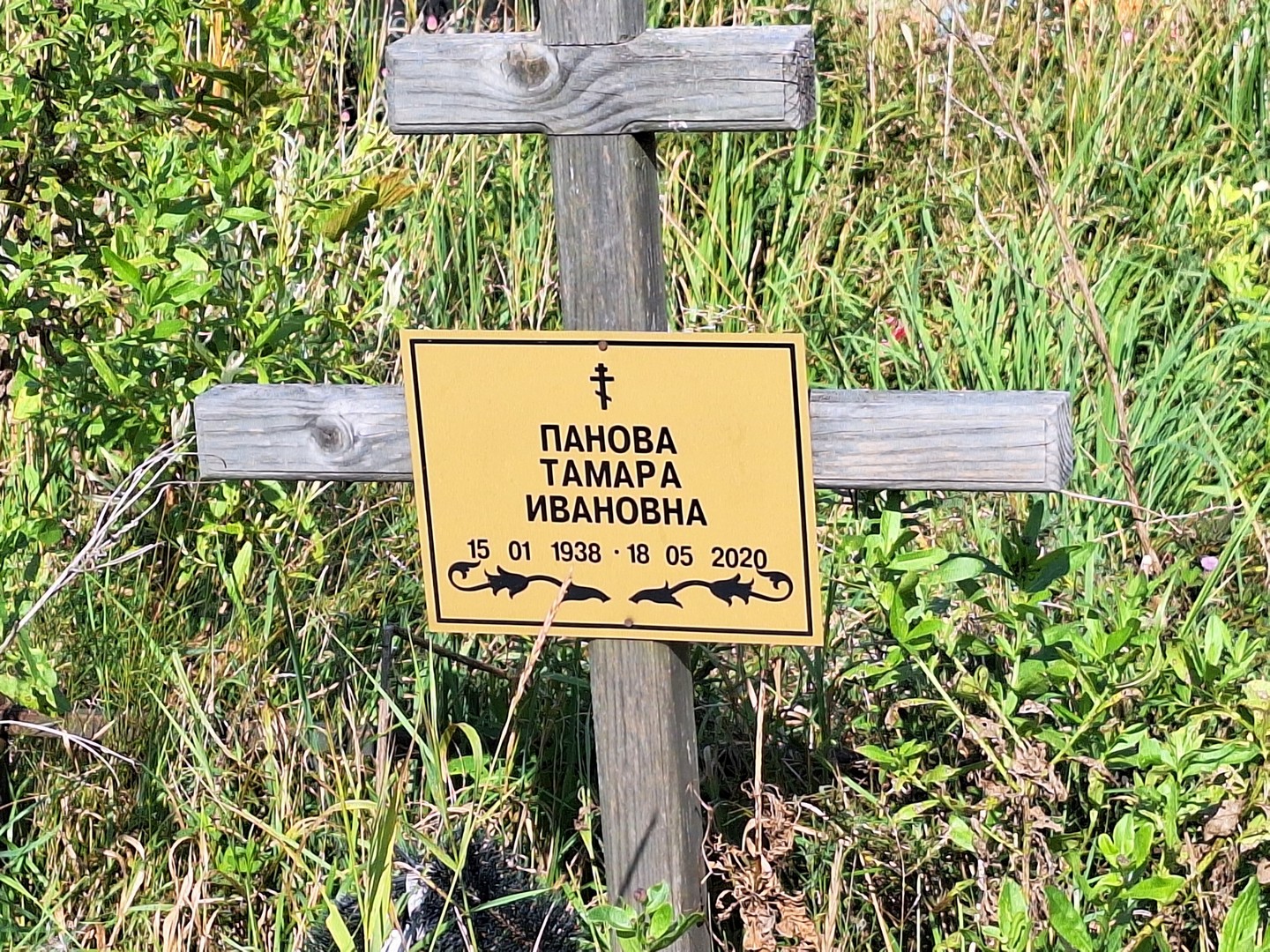 Панова