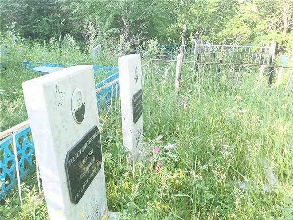 Толстоноженко Александра Андреевна