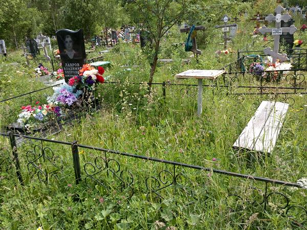 Лавров Владимир Петрович