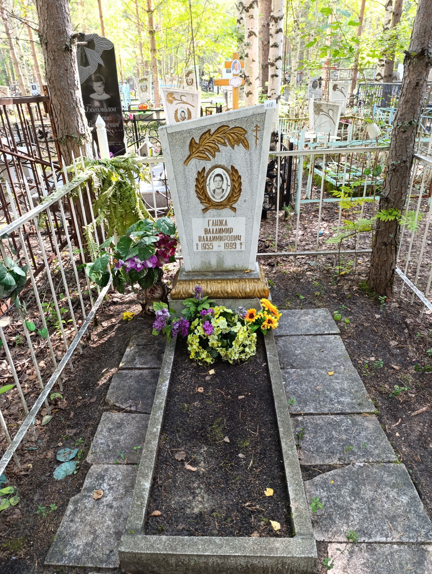 Ганжа Владимир Владимирович