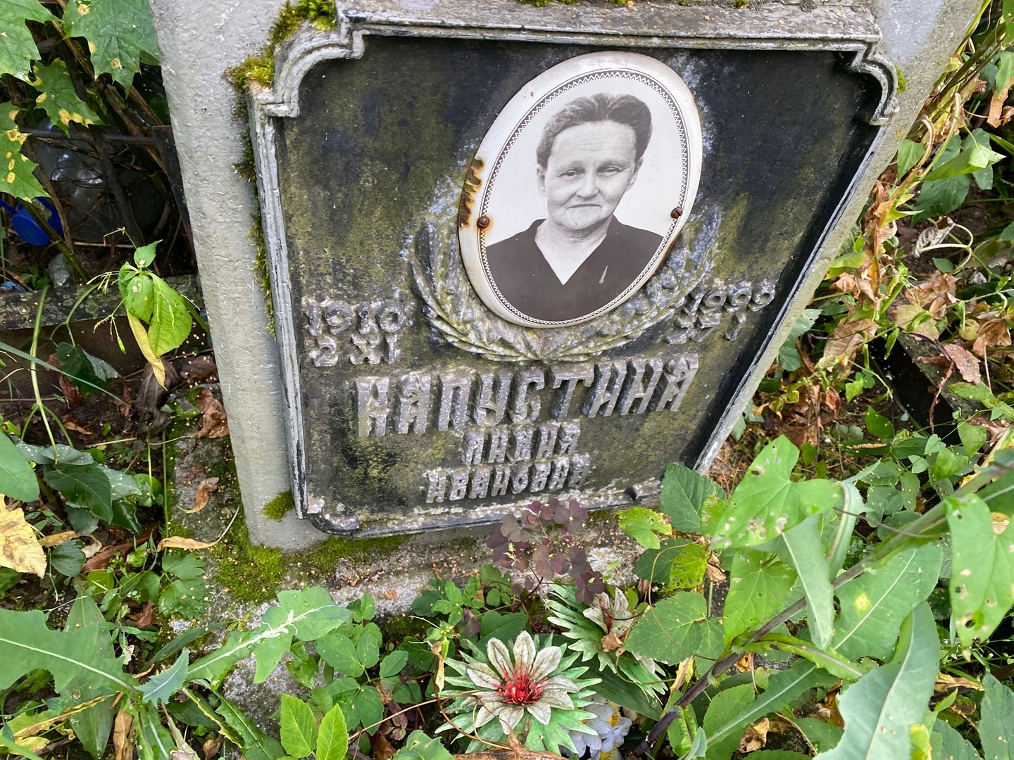 Капустина