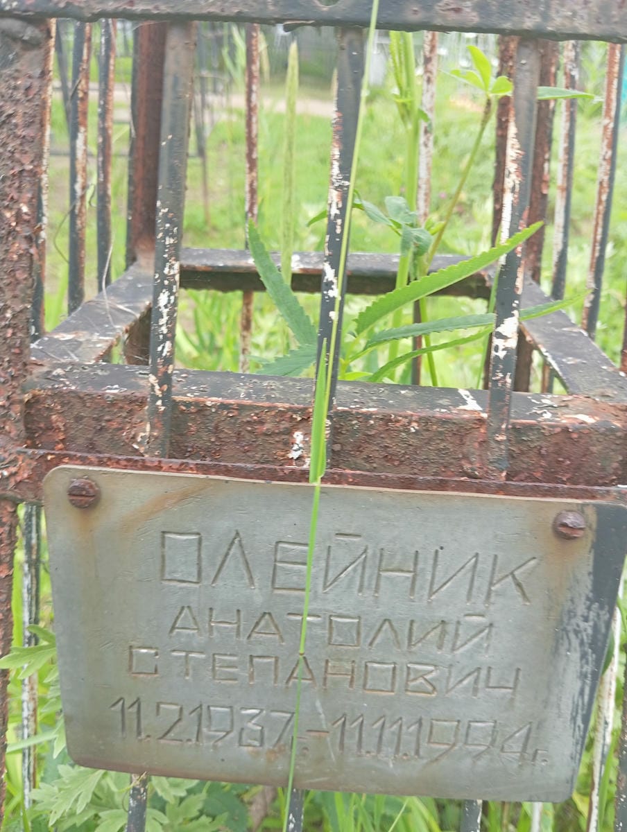 Олейник Анатолий Степанович