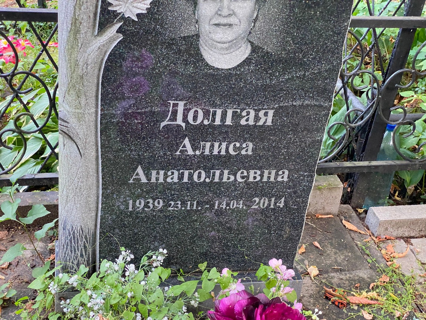 Алиса Долгая Анатольевна