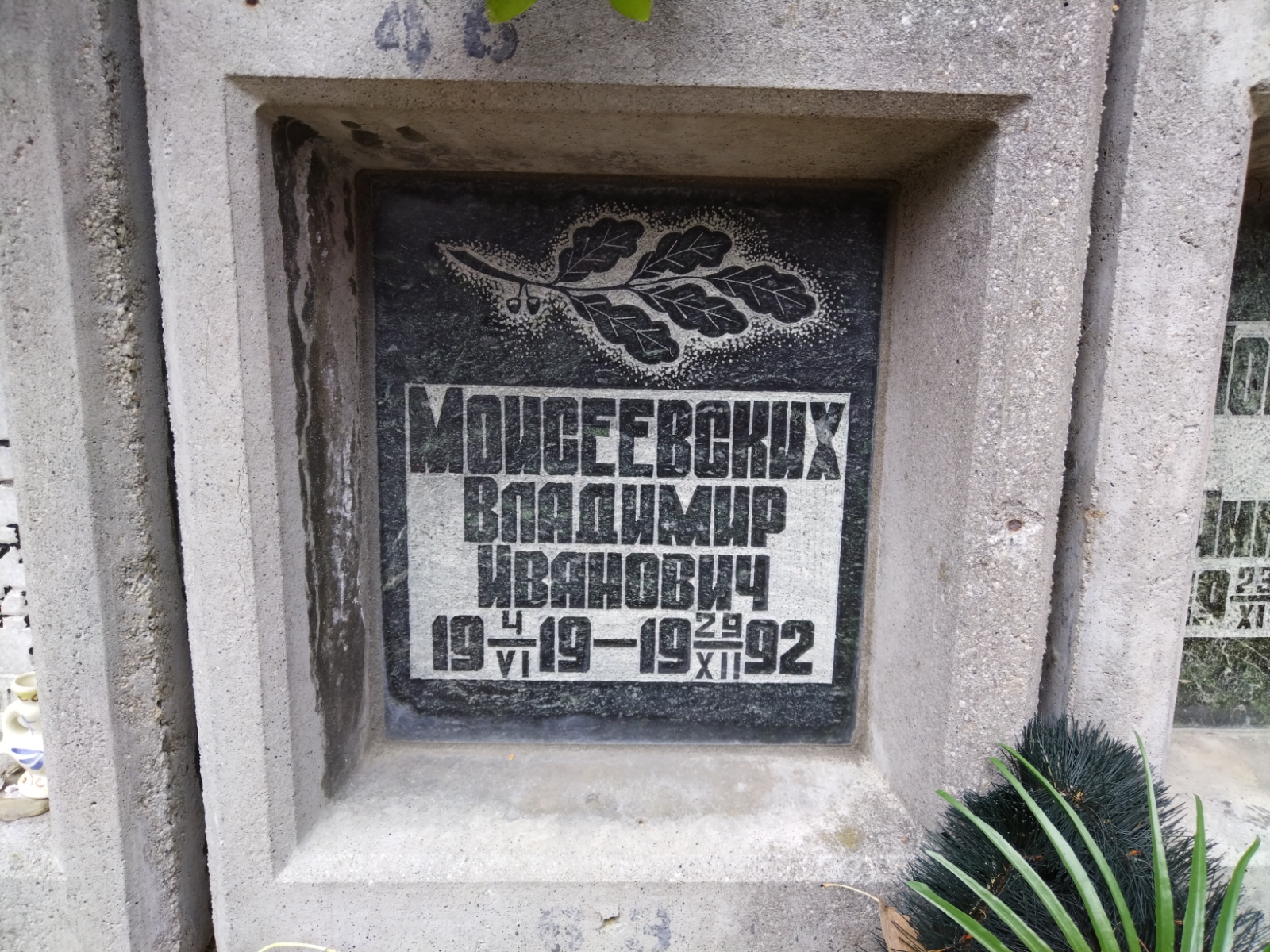 Моисеевских Владимир Иванович