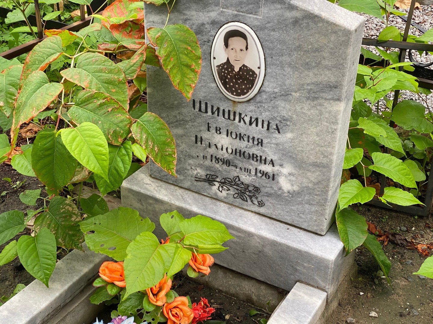 Шишкина