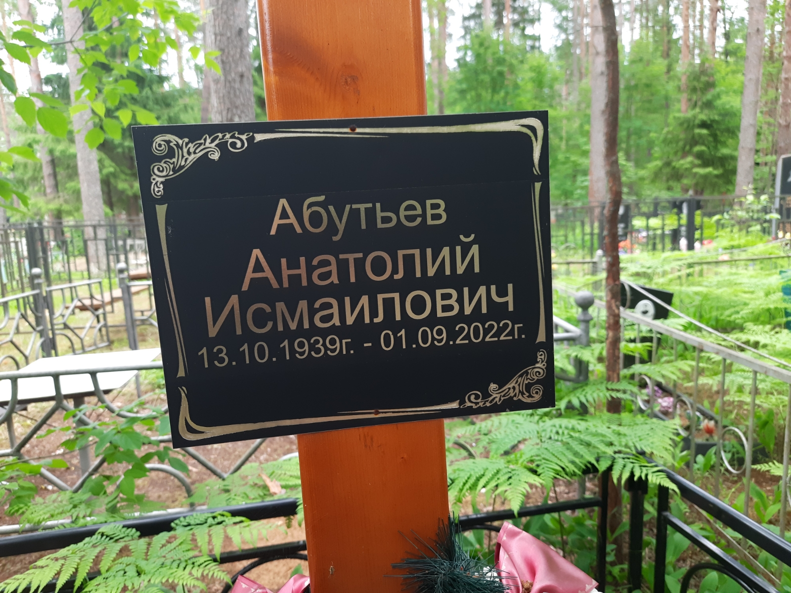 Докичев Александр Степанович