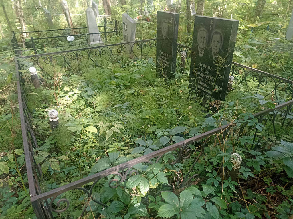 Романов Альберт Николаевич