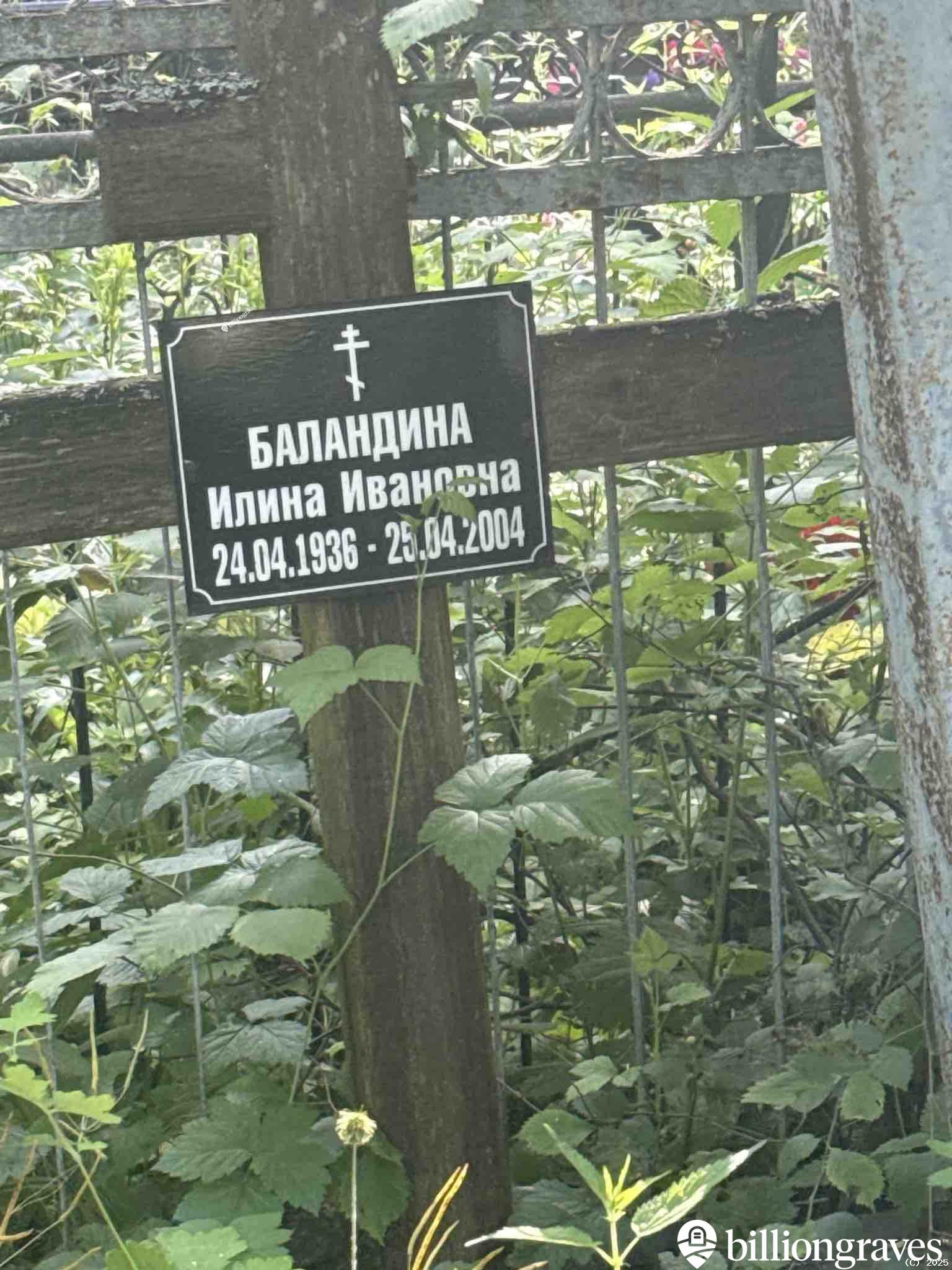 Баландина Илина Ивановна