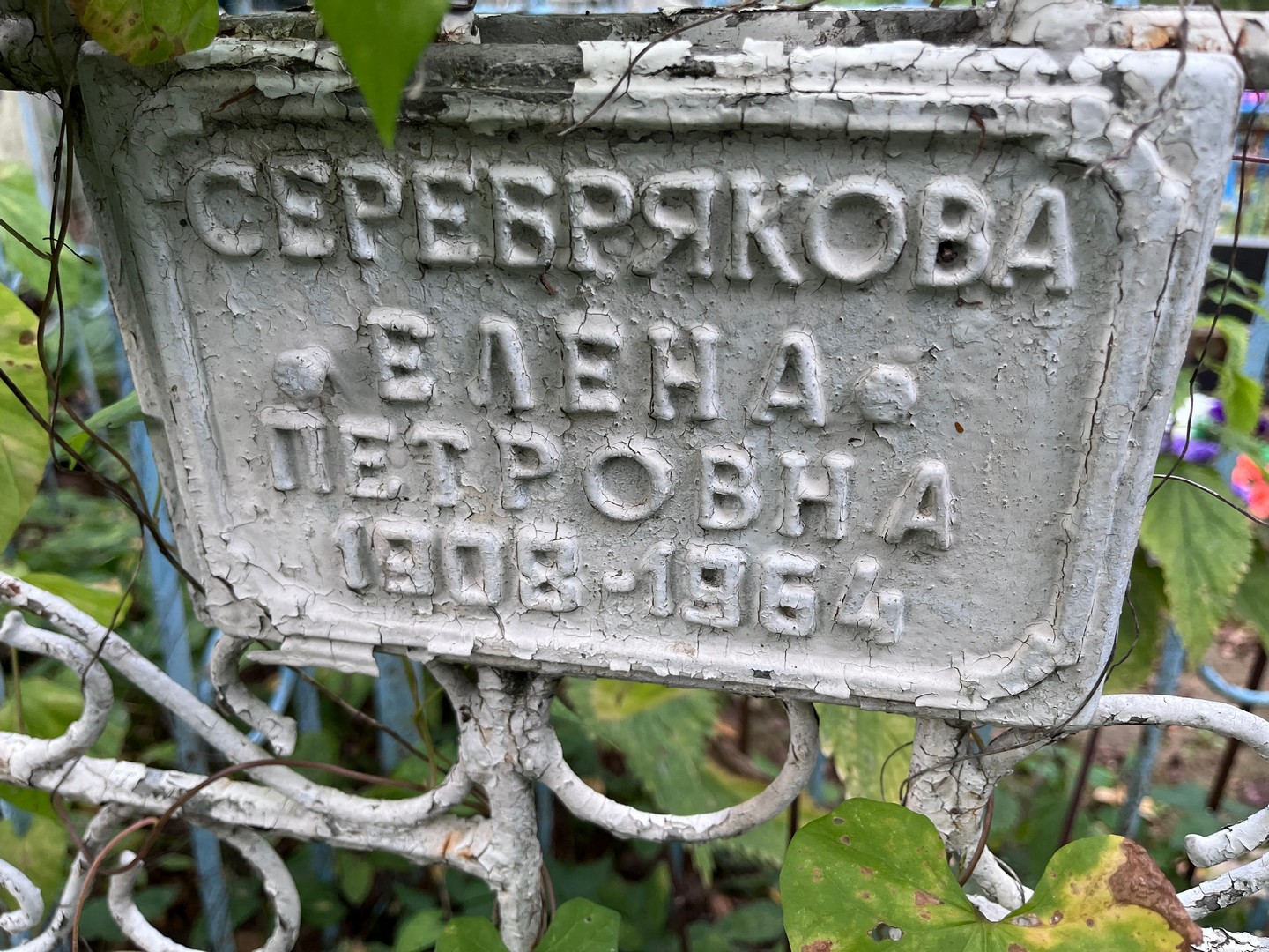Серебрякова