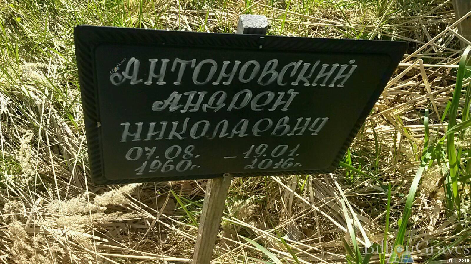 антоновский андрей николаевич
