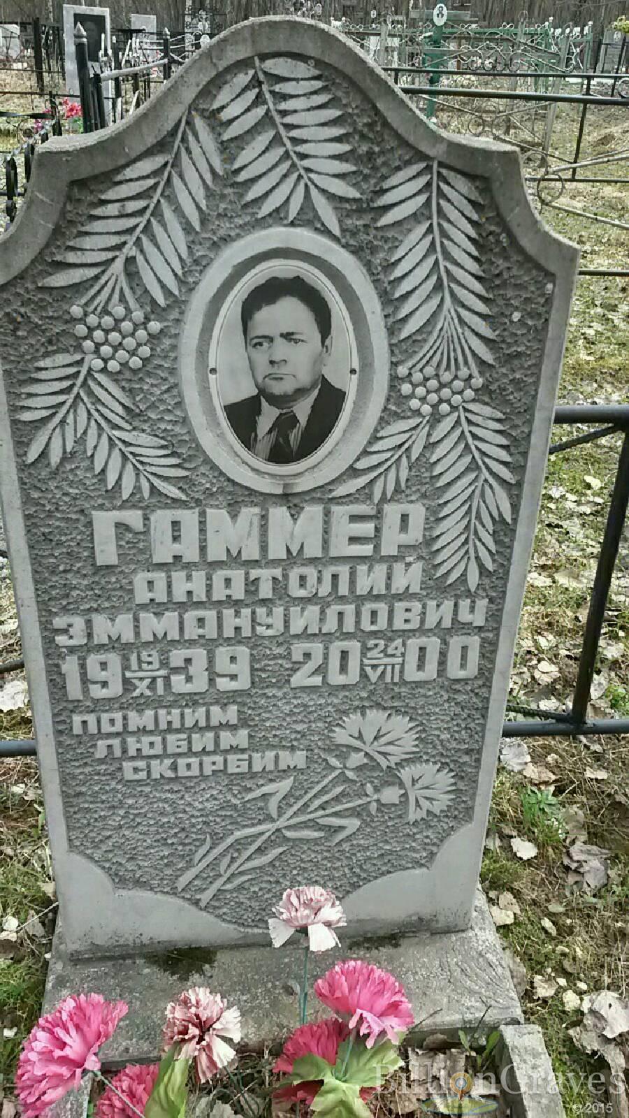 Гаммер Анатолий эммануилович