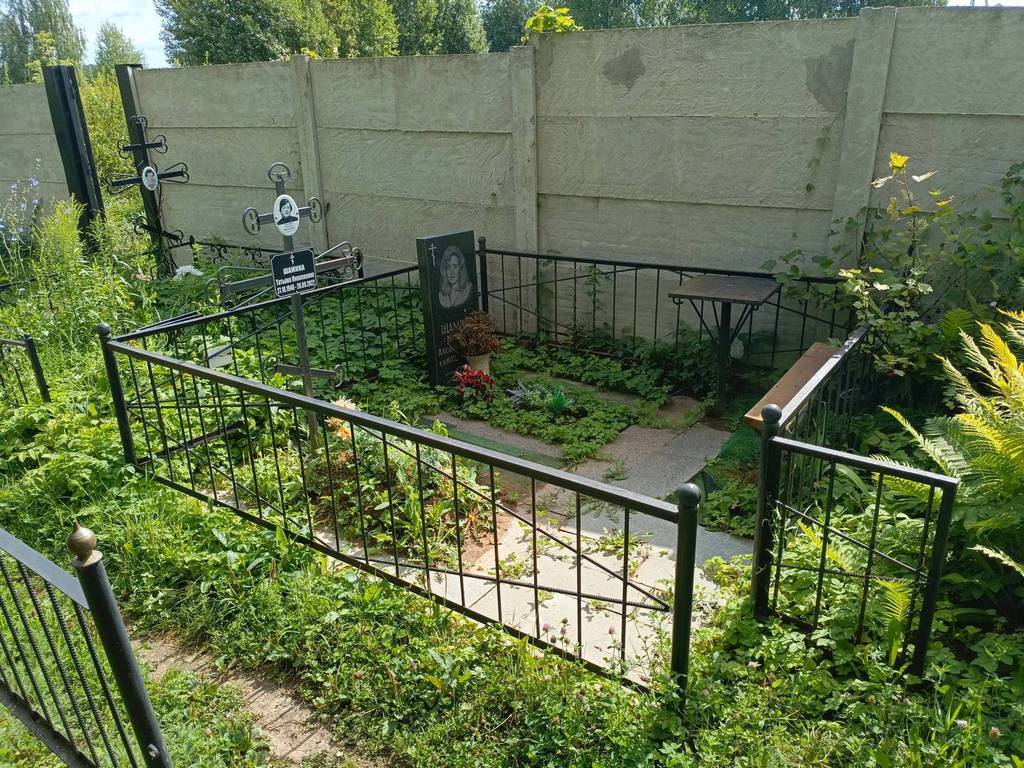 Шамина Наталья Александровна