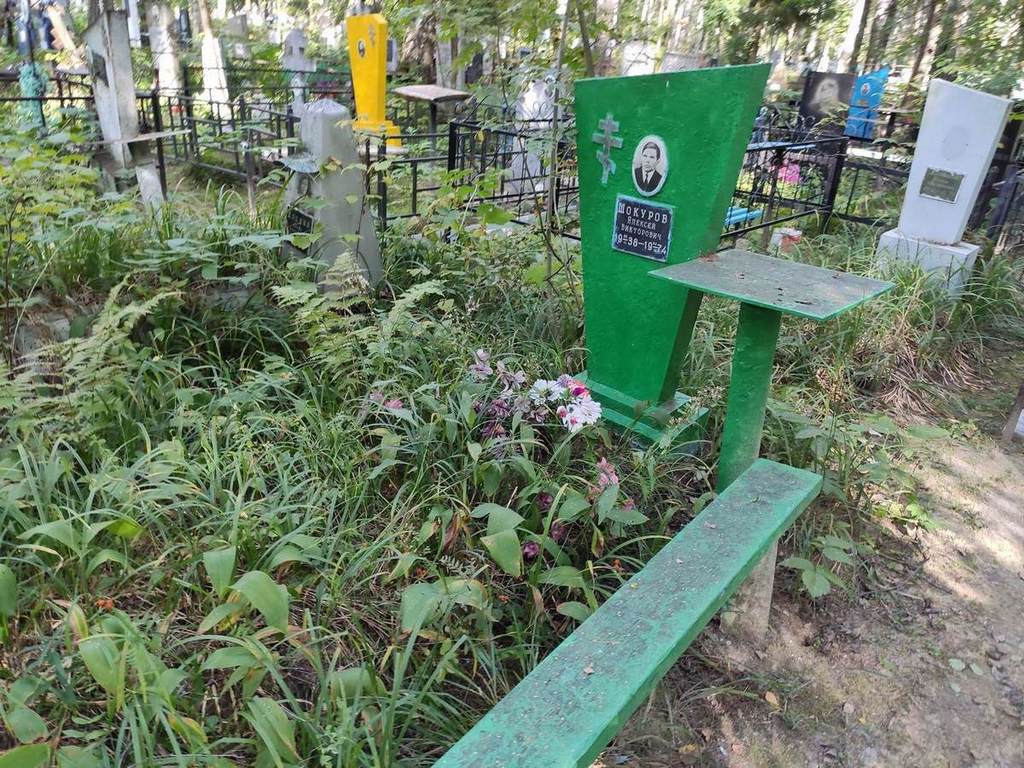 Шокуров Алексей Викторович