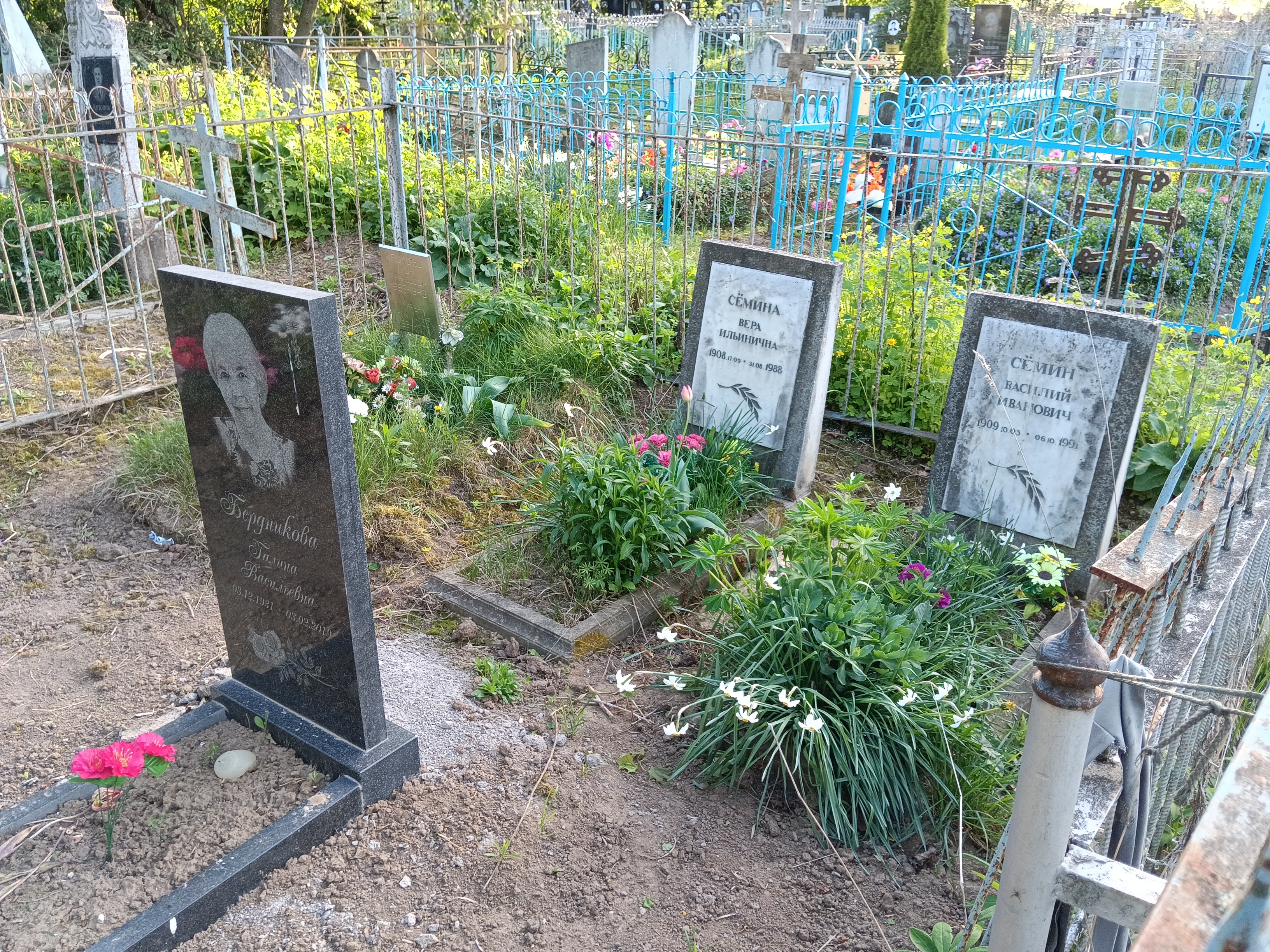 Бердникова Галина Васильевна