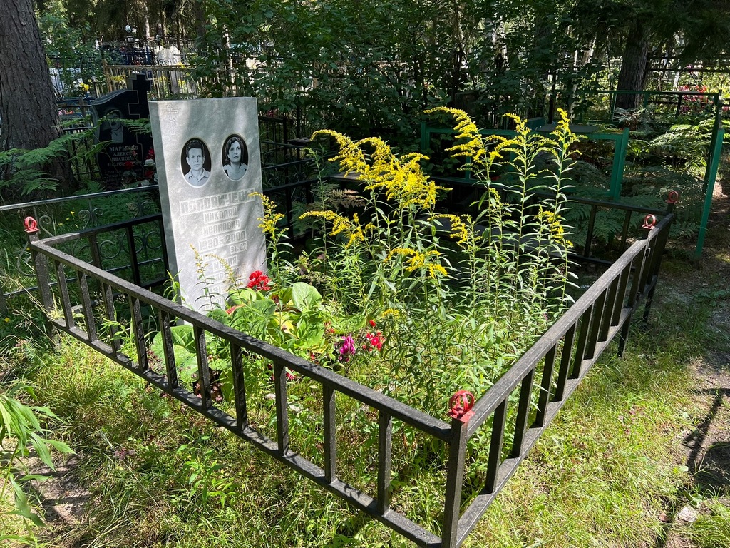Поповичев Николай Иванович