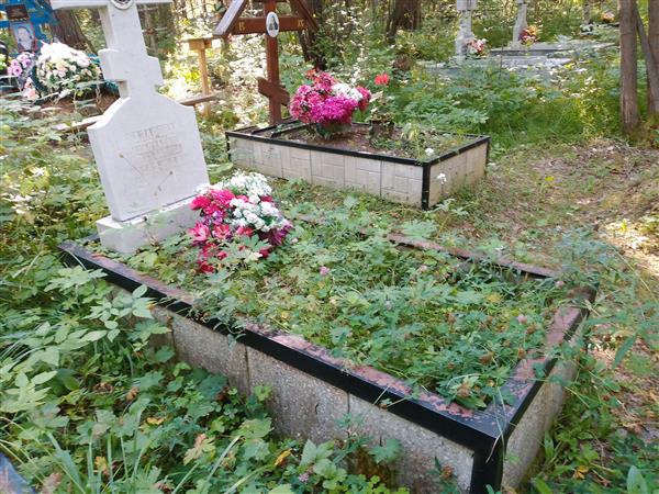 Назарова Анастасия Михайловна
