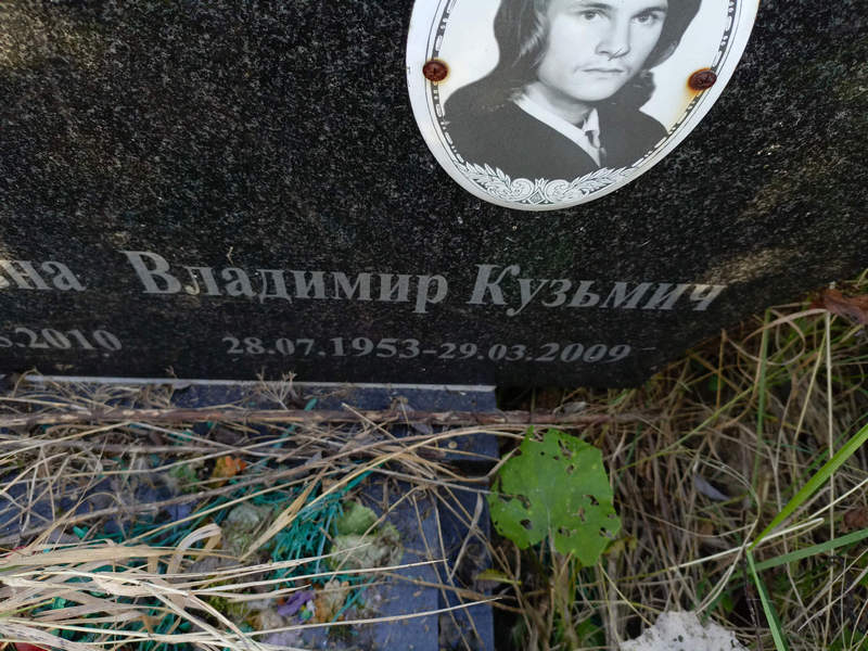 Студеникин