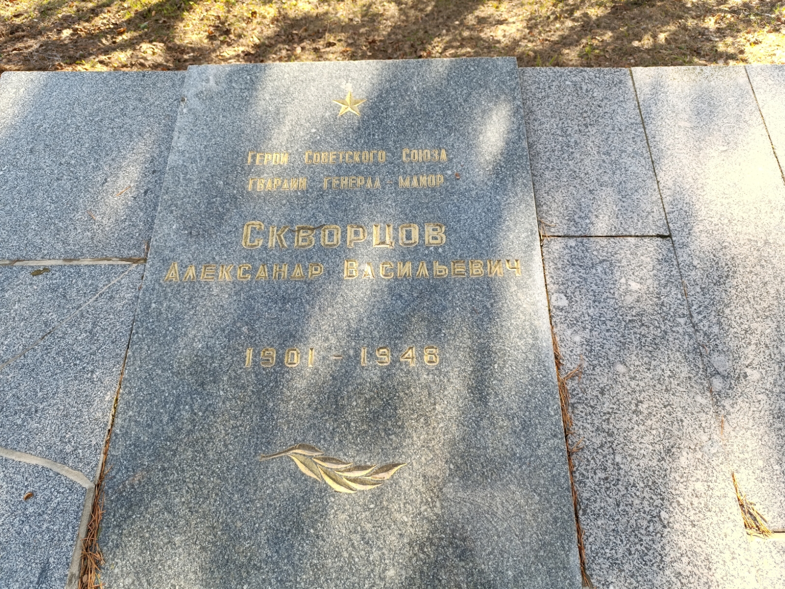 Скворцов Александр Васильевич
